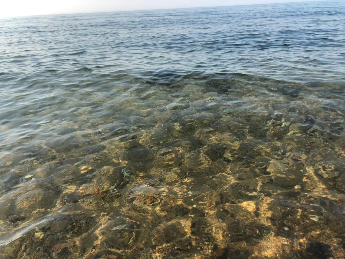 Morski Las Ustronie Morskie Dış mekan fotoğraf